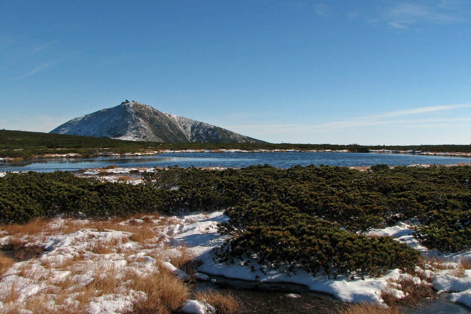 Peatbog on Równia below Śnieżka Mt